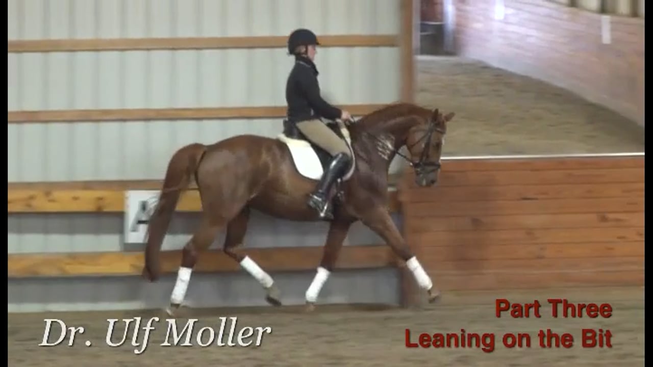Leaning on the Bit | Dr Ulf Moller | PART 03