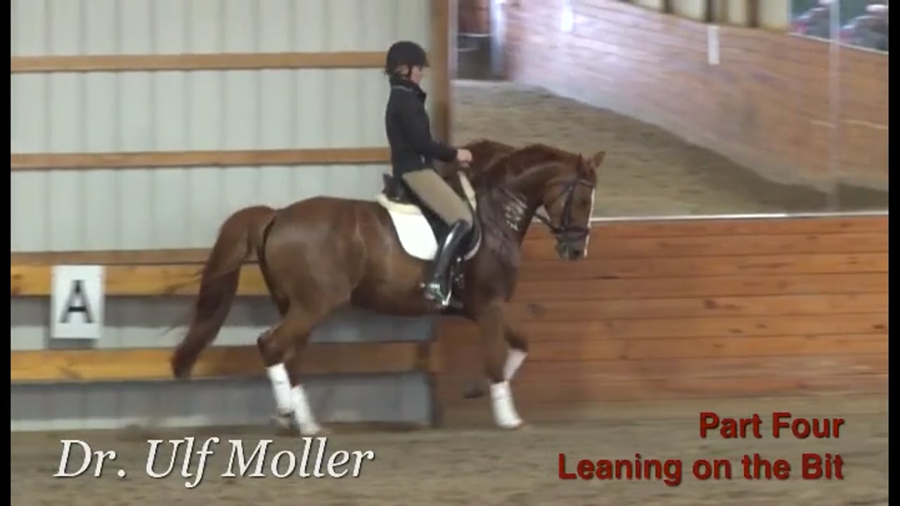 Lateral work to engage the hind leg with Rafael Soto Part 4