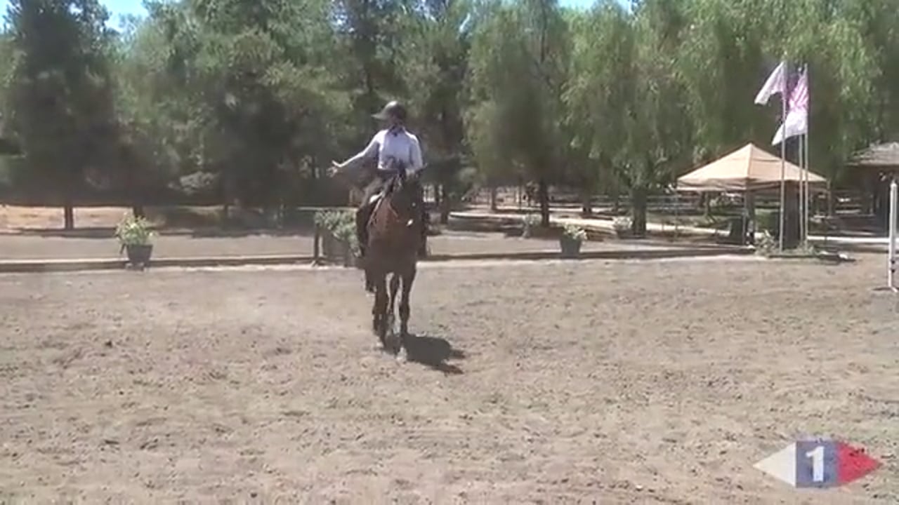Daily Tuning For The Event Horse | Tamie Smith | PART 04