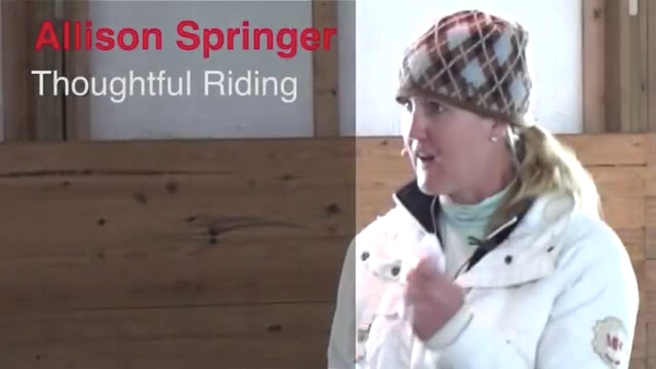 Thoughtful Riding, Flatwork & Grids | Allison Springer | PART 12