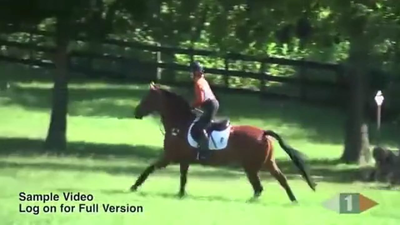 Two Star Horse | Jimmy Wofford | TRAILER