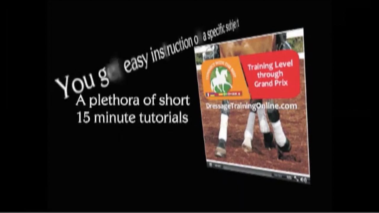 3YO: Maintaing the Contact and Longer Steps | Dr. Ulf Moller | PART 01