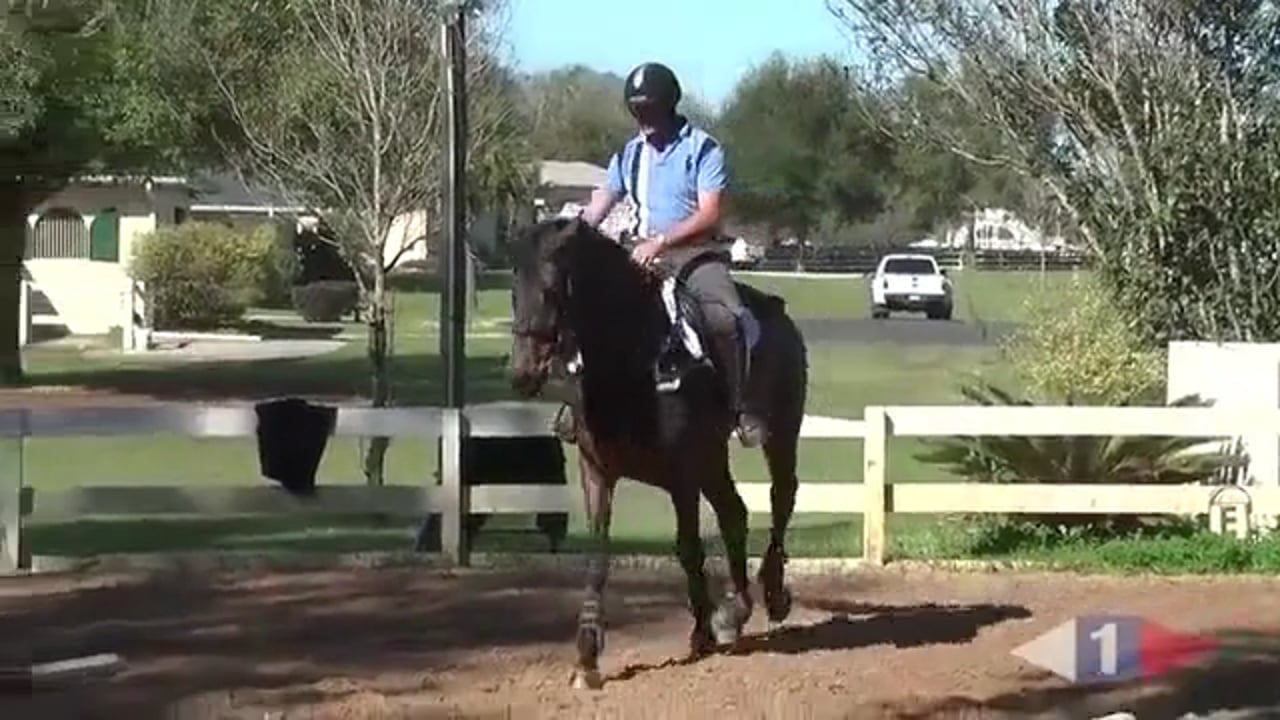 Schooling Skinnies | Clayton Fredericks | TRAILER