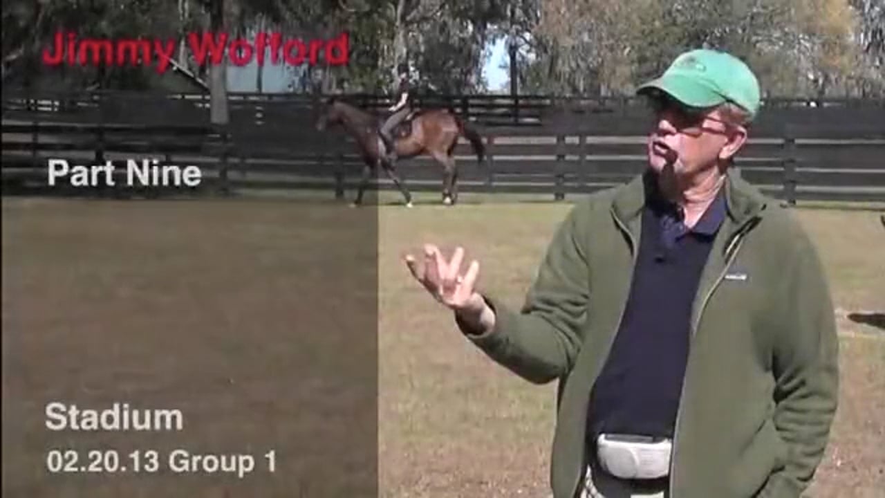 Stadium Jumping | Jimmy Wofford | PART 09