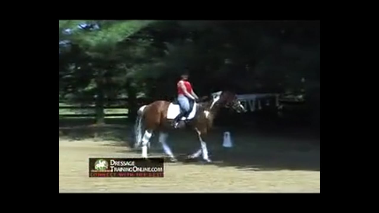 The Basics in Equitation, Seat, Posture, Balance | Mary Wanless | PART 02