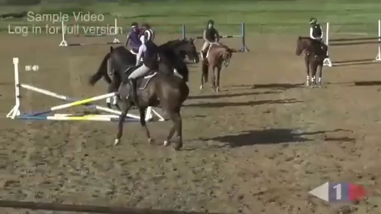 Jumping Exercises To Improve The Riders Effectiveness - Part 2