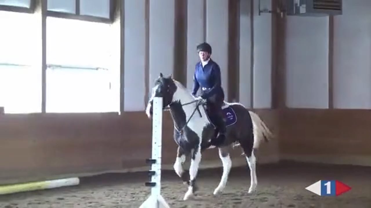 Stadium Clinic | Allison Springer | TRAILER 02