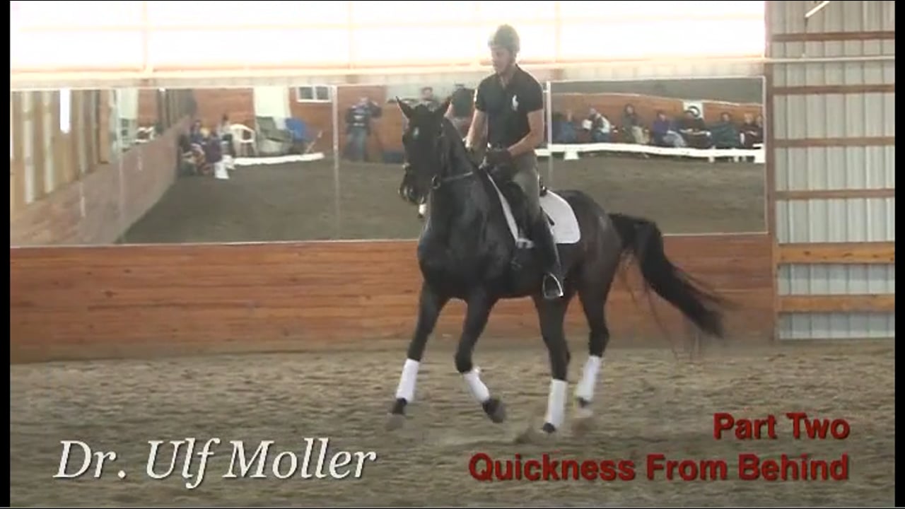 Quickness From Behind at the Training Level | Dr. Ulf Moller | PART 02