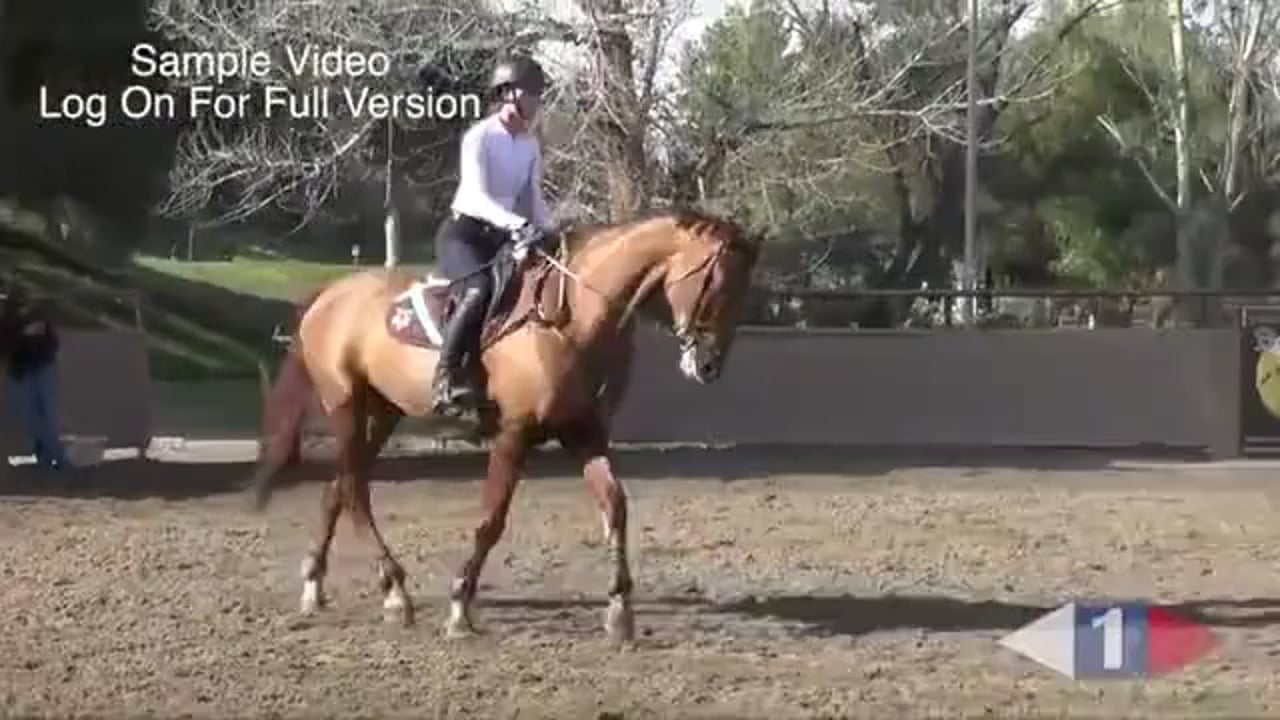 On The Aids For Show Jumping | Leslie Law | TRAILER 01