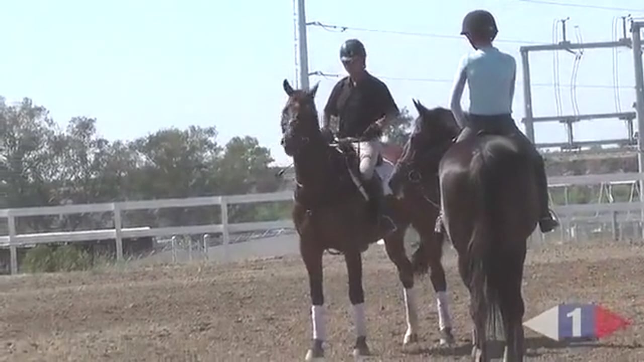 Making Your Horse Adjustable | Phillip Dutton | PART 02