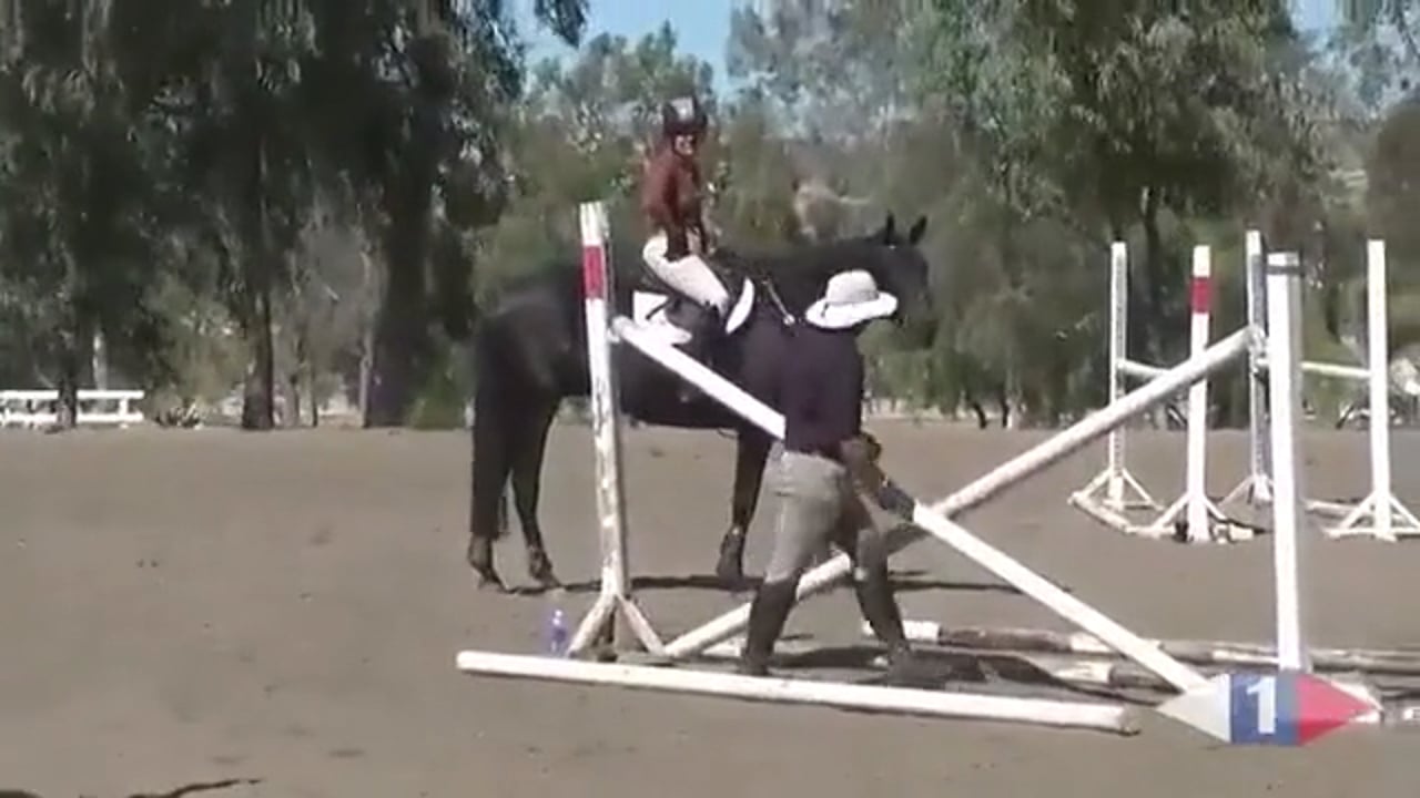 Figuring out the right button that works with this horse with Hilda Gurney Part