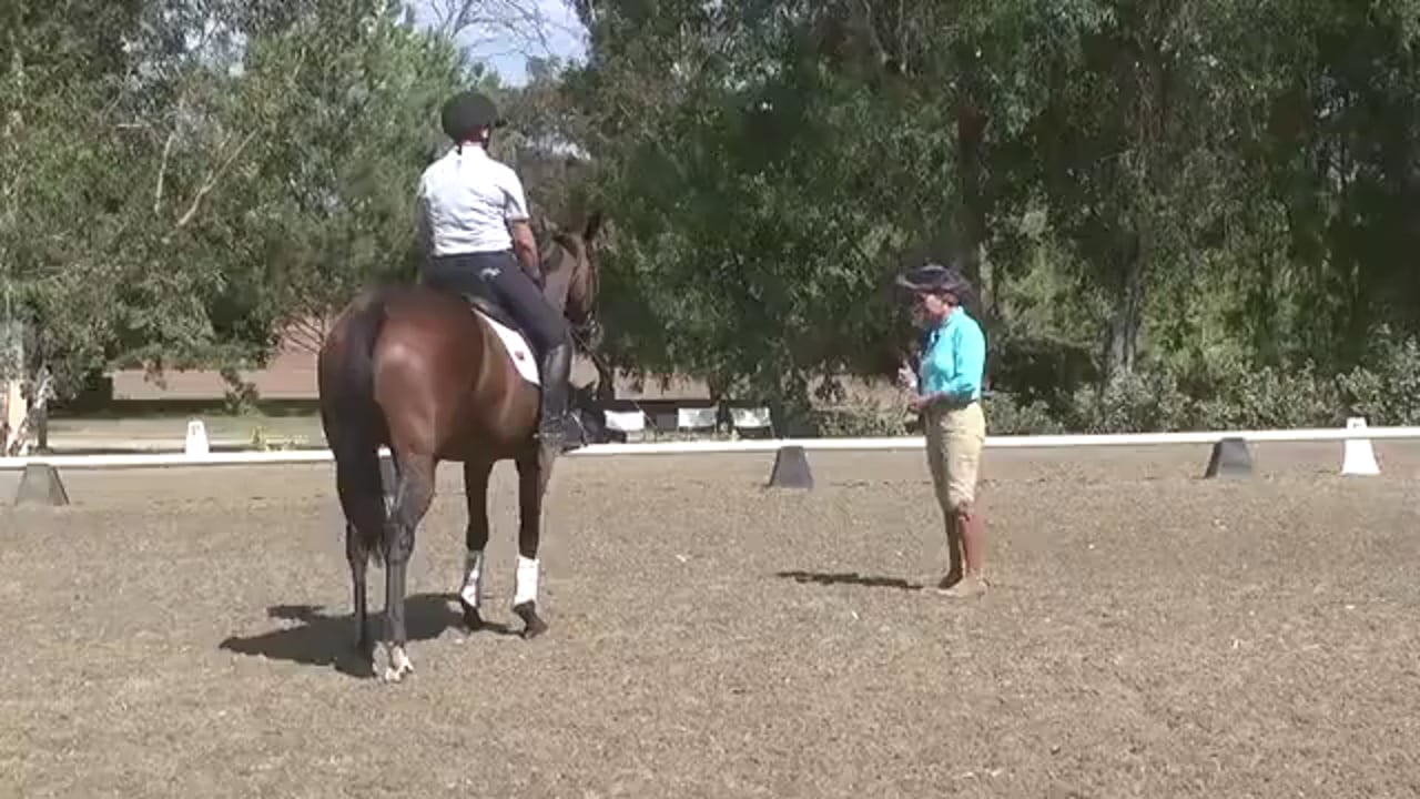 Improving the Gaits | Jane Bartle-Wilson | PART 03