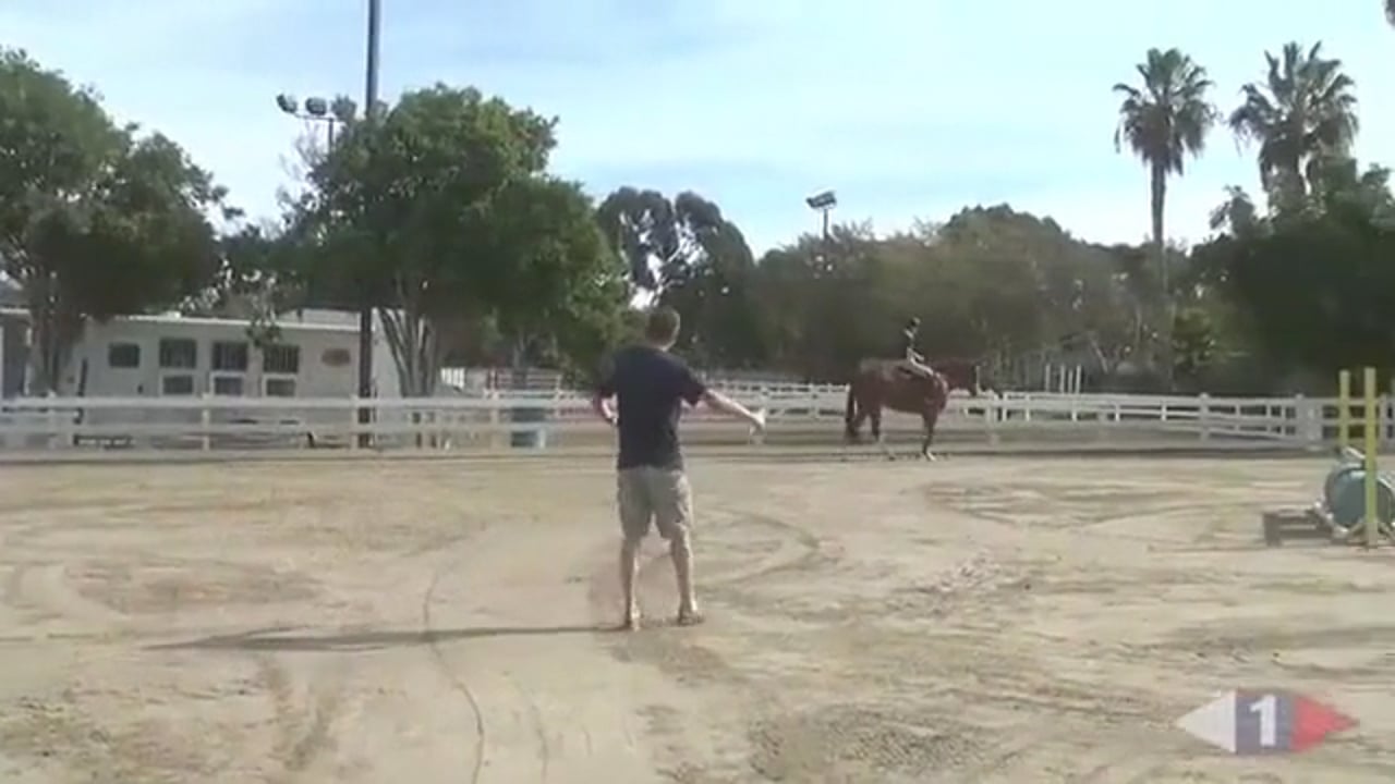 Arena Exercise To Improve Technique | Boyd Martin | PART 01