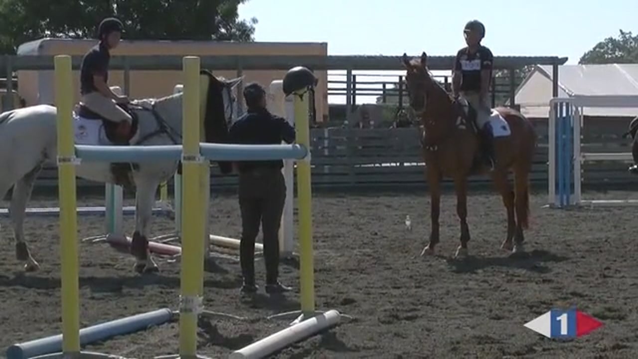 Does Your Horse Look For Their Fence? | David O'Connor | TRAILER