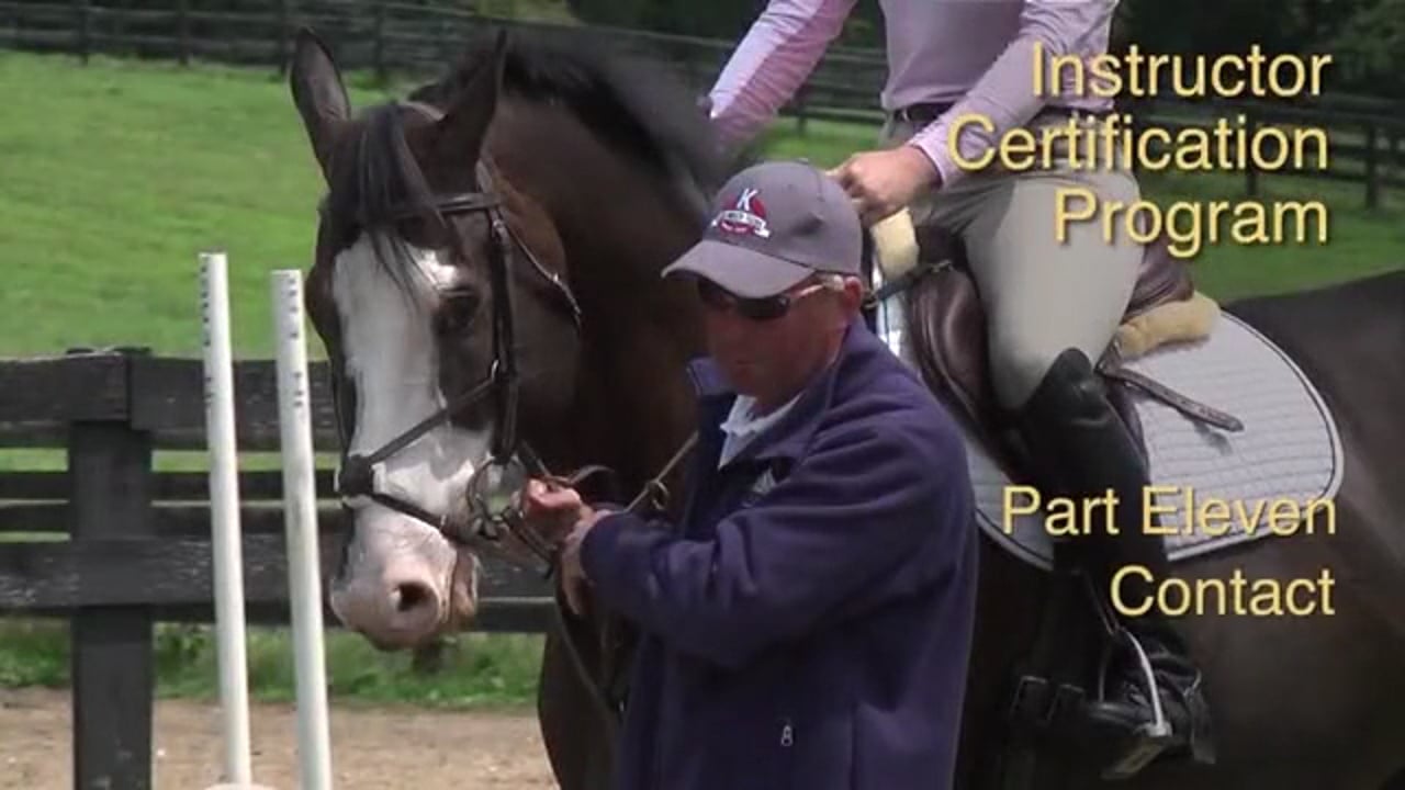 Insight into how the horse thinks and understanding his mental zones - Jan Brink