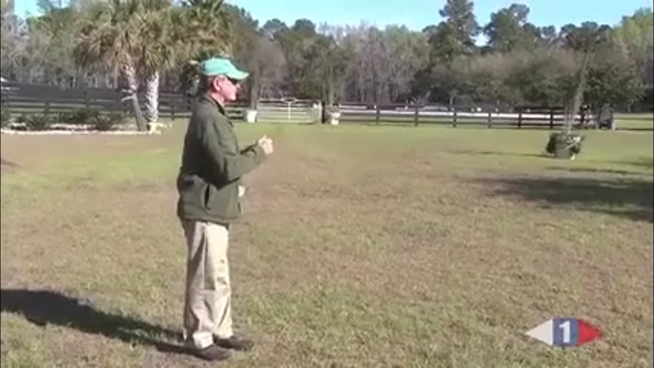 Stadium Jumping | Jimmy Wofford | PART 01