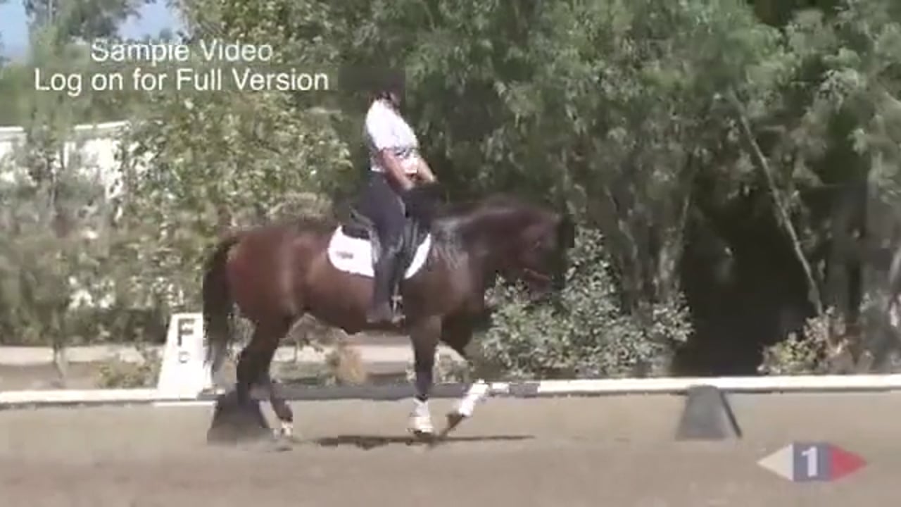 Improving The Gaits | Jane Bartle-Wilson | TRAILER