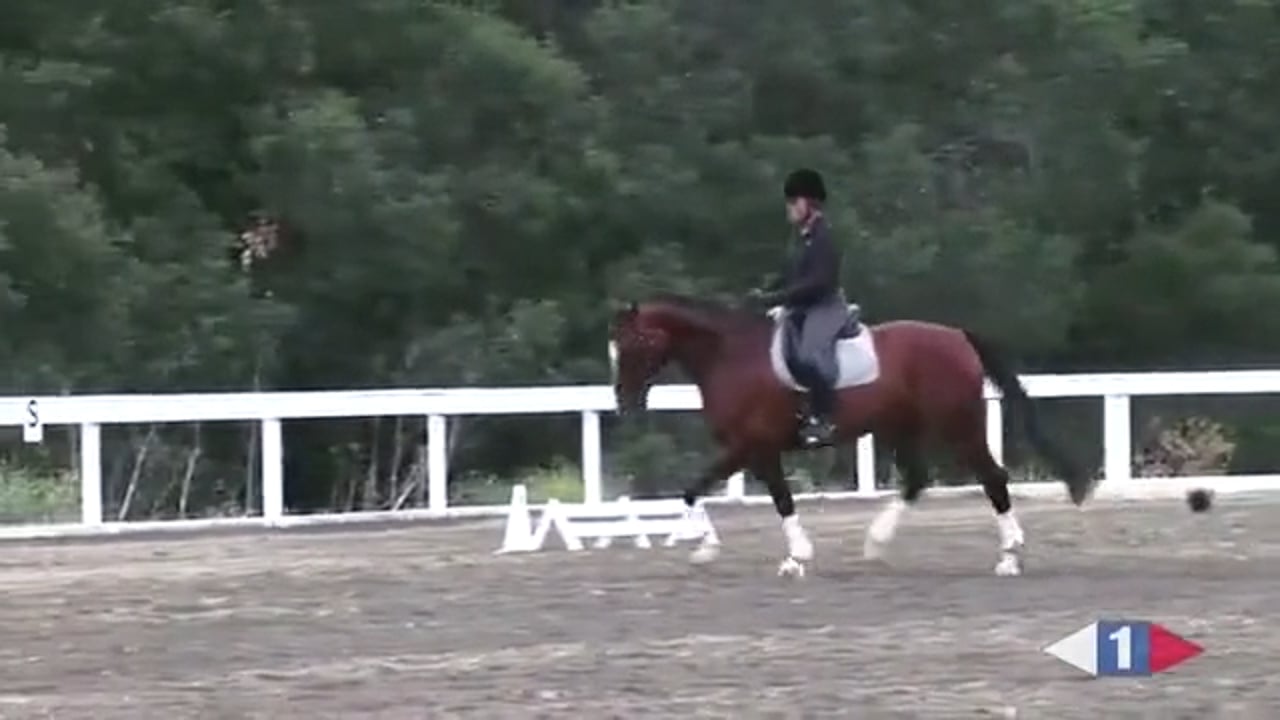 Quiet Hands | Catherine Haddad | PART 03