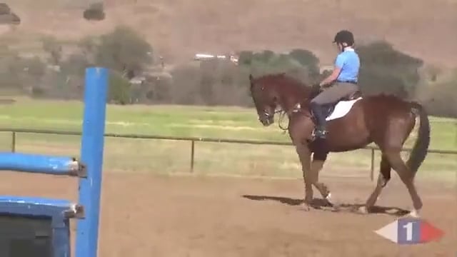 Rideability For Jumping, Preliminary | Karen O'Connor | PART 01