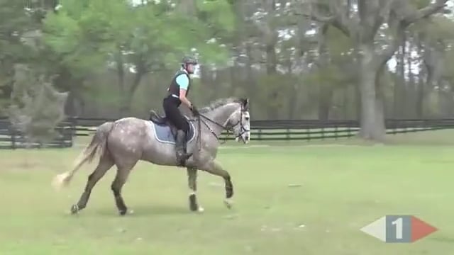 Putting It Together With Two Fences | Robin Walker | PART 01