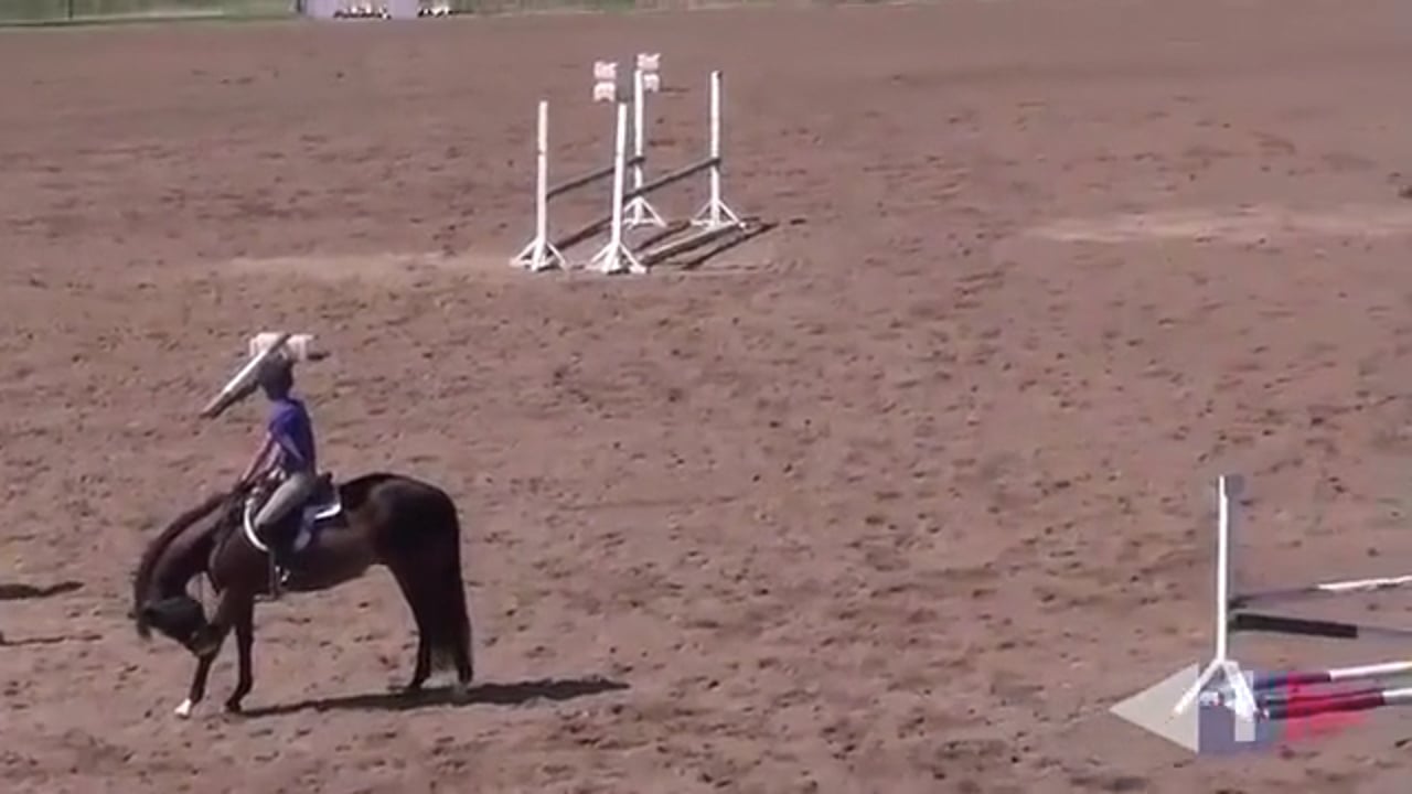 Katrin Bettenworth - Throughness and obedience and gaining more steadiness in th