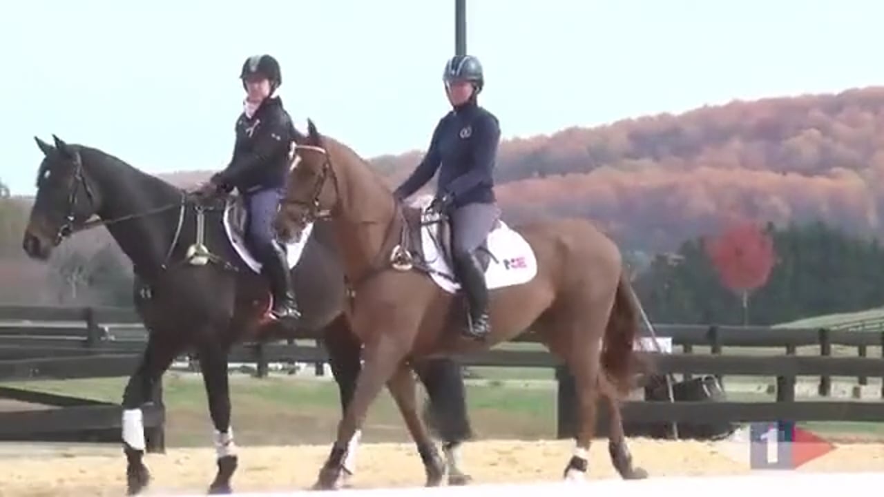 At Least A Seven | William Fox-Pitt | PART 01