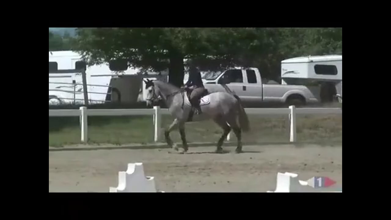 Steady Contact & Keeping The Rhythm | Matt Brown | PART 01