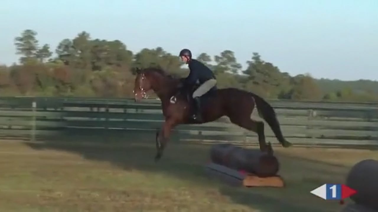 Warm Up & Banks, Preliminary | Johnathan Holling | TRAILER