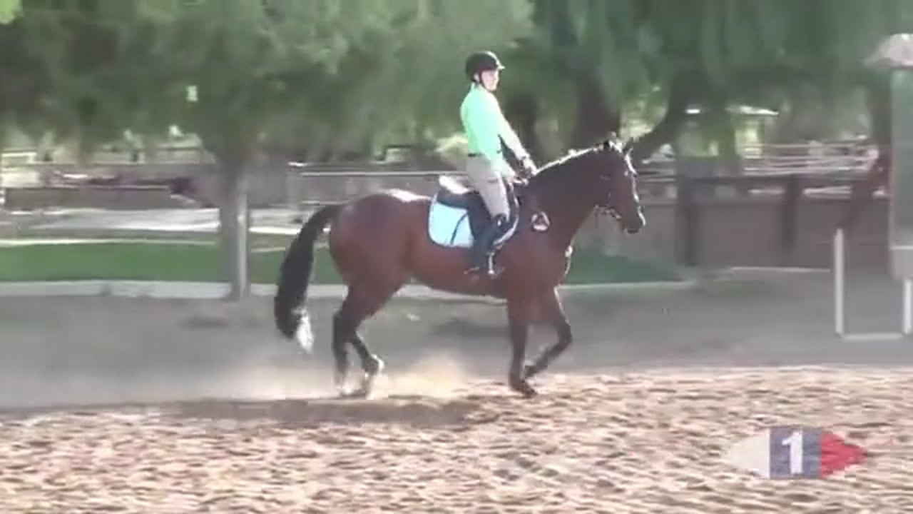 Deep Distances | Phillip Dutton | TRAILER