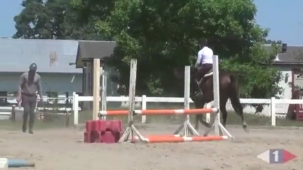 Transitions For Jumping | Matt Brown | PART 02