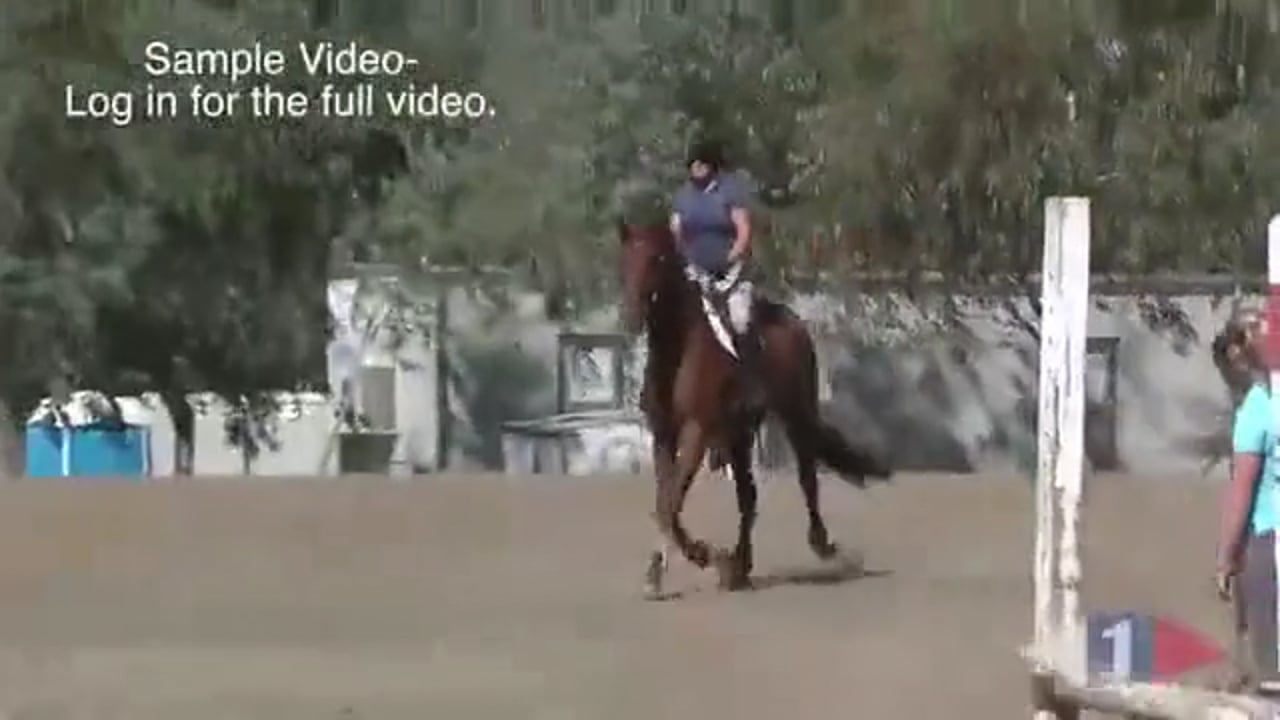 Final Show Prep | Buck Davidson | TRAILER 01