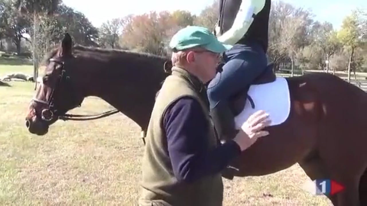 Galloping Gears For Cross Country | Dorothy Crowell | PART 02