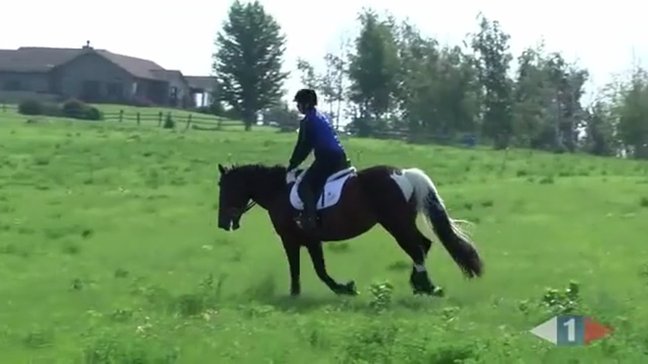 Novice Galloping Ditches | Kim Severson | TRAILER