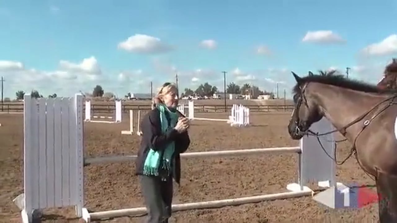 Riding Through The Tube | Lucinda Green | PART 03