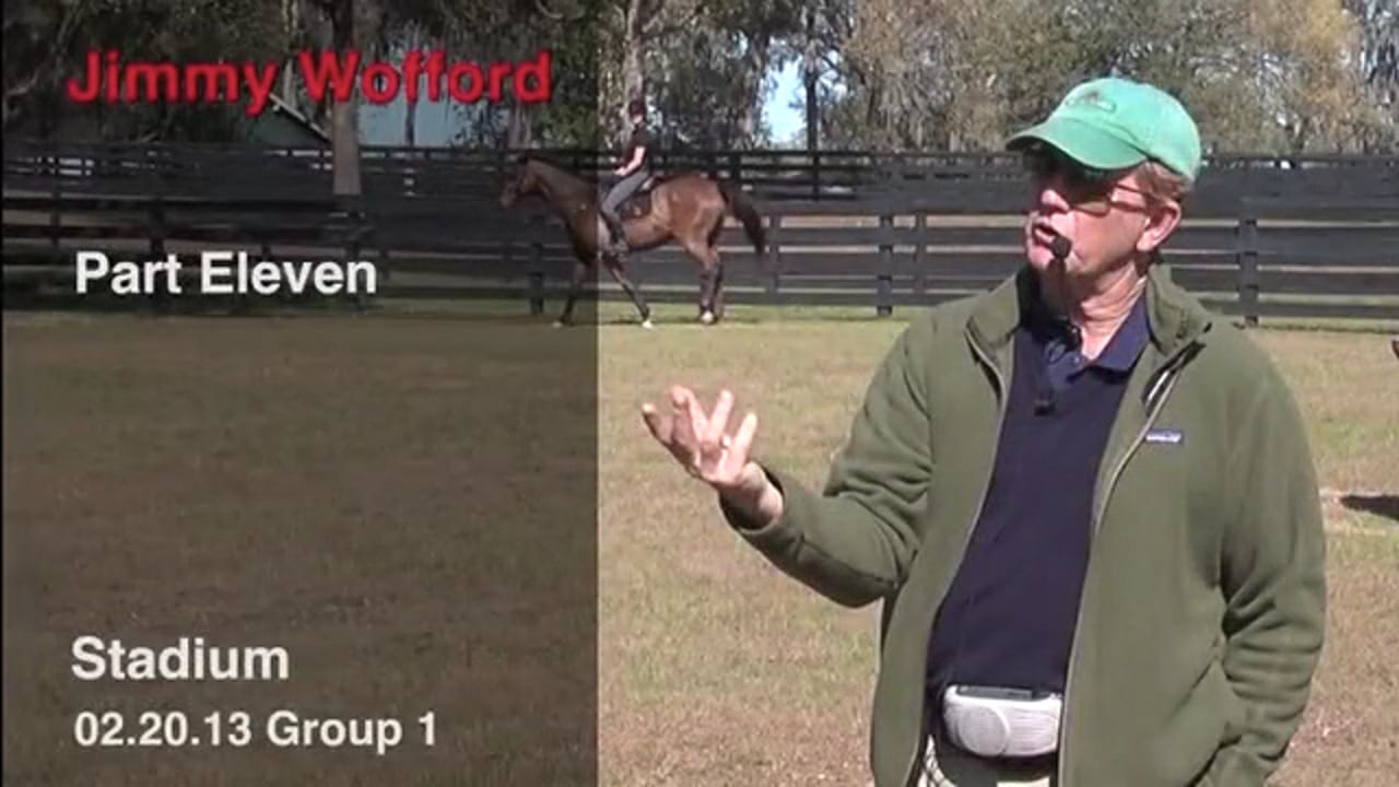 Stadium Jumping | Jimmy Wofford | PART 11