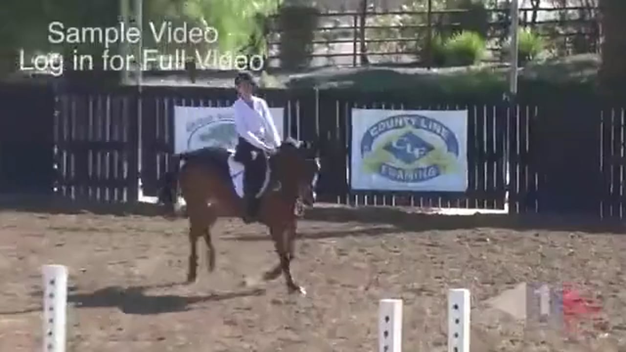 Bouncy Show Jumping Canter | Hawley Bennet | TRAILER