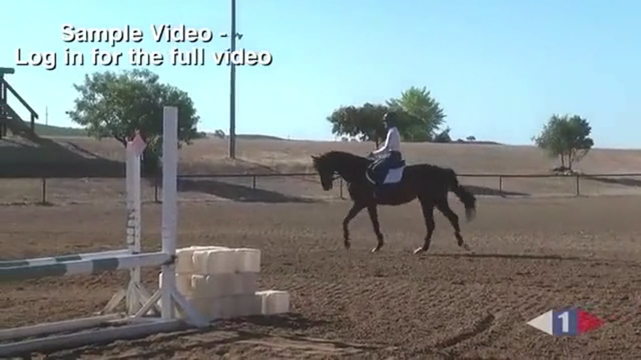 Rideability For Jumping, Preliminary | Karen O'Connor | TRAILER