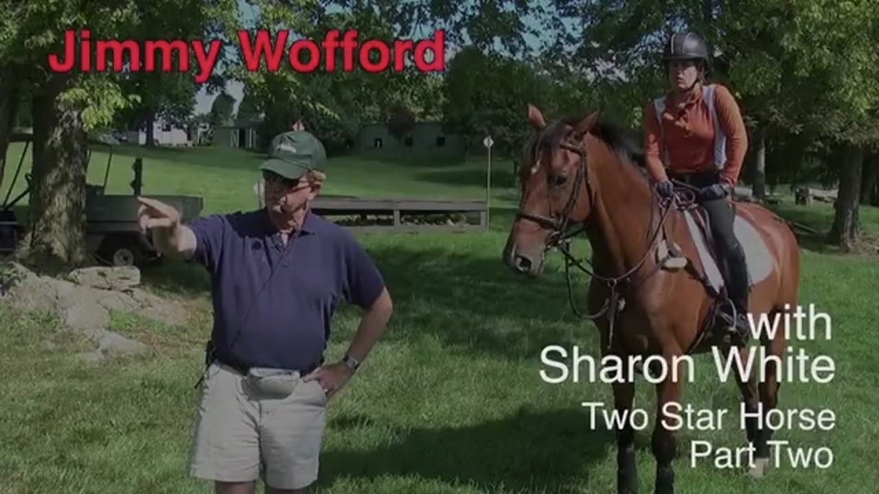 True Half Halts | Steffen Peters | INTRO