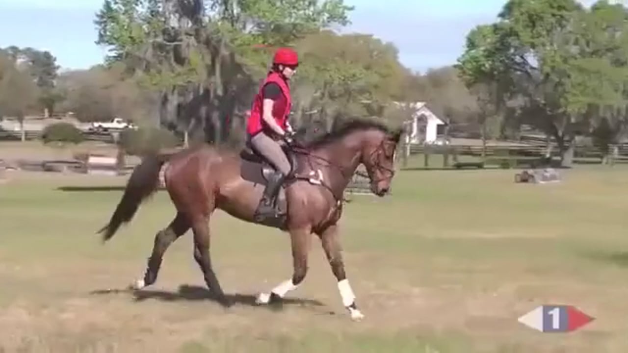 Cross Country - Part 10