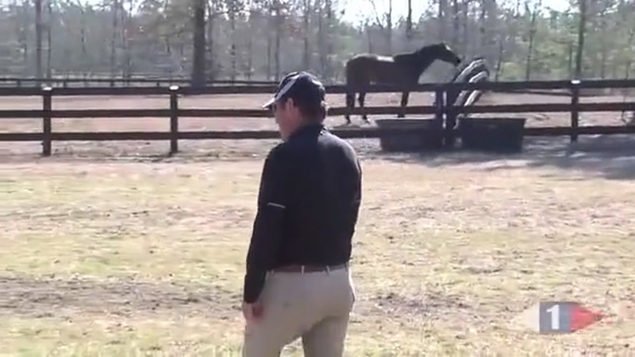 Schooling For Competition, Prelim & Intermediate | Phillip Dutton | PART 01