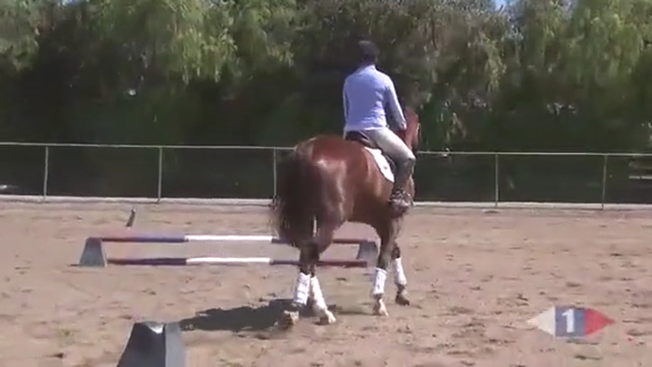 Circle Exercise | Gina Miles | PART 03