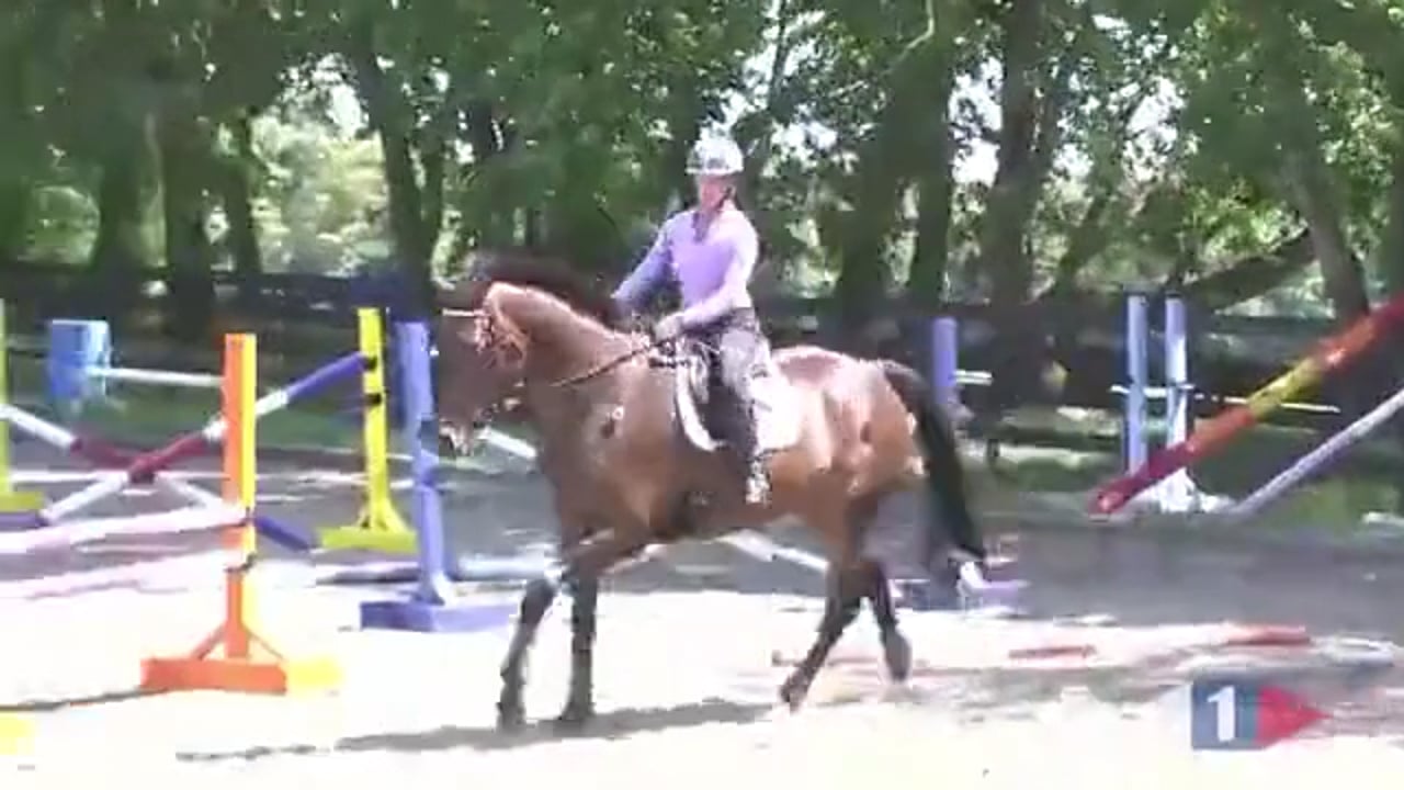 Using Corners In Stadium Jumping | Sharon White| PART 01