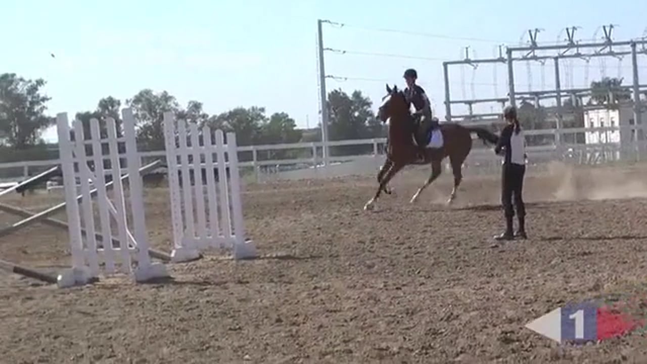 Making Your Horse Adjustable | Phillip Dutton | TRAILER 01