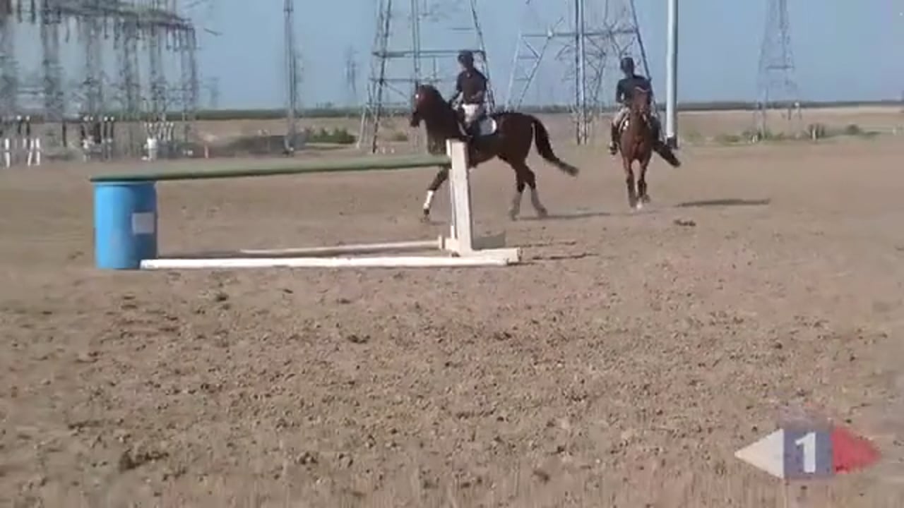 Making Your Horse Adjustable | Phillip Dutton | PART 04