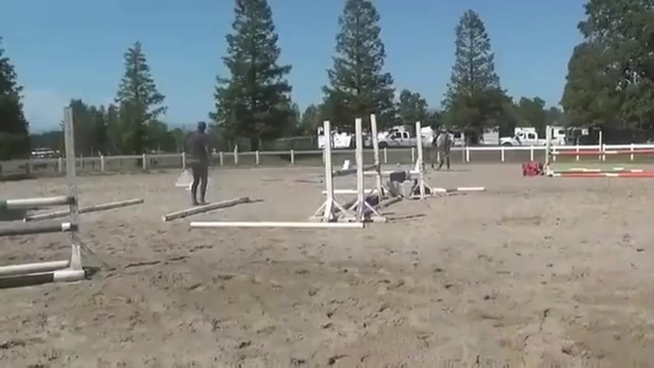 Steady Contact & Keeping The Rhythm | Matt Brown | TRAILER