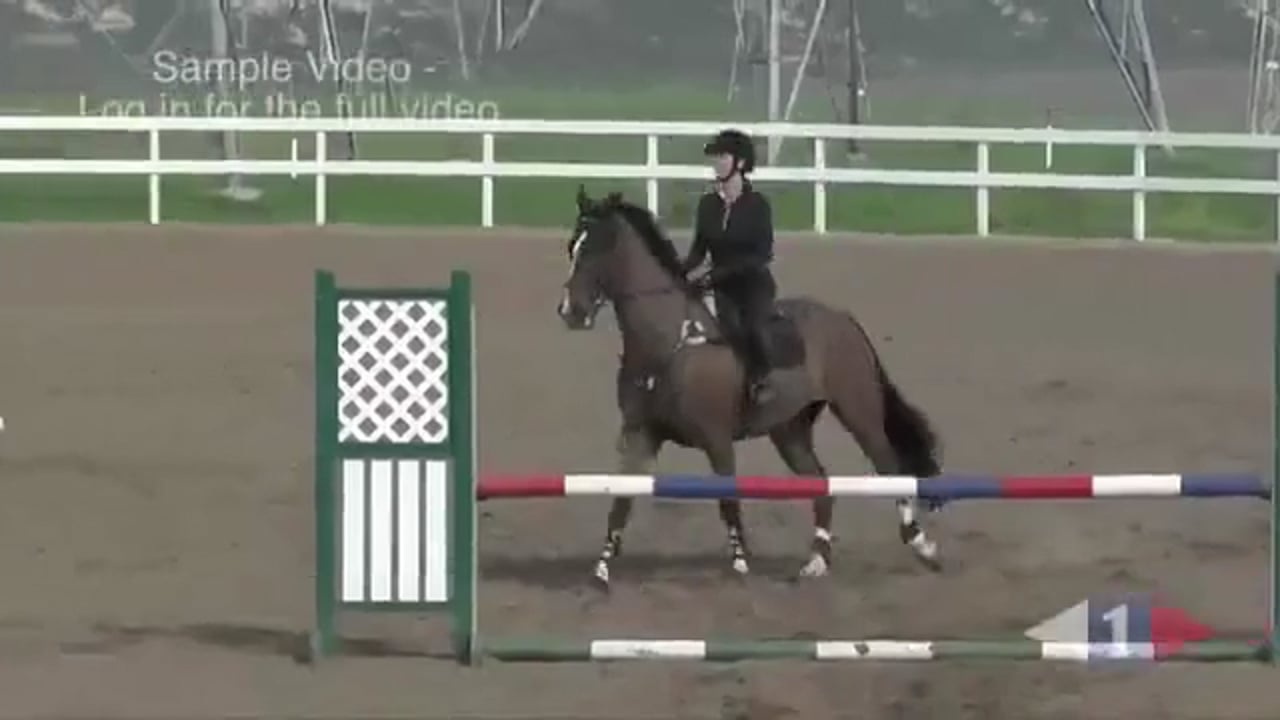 Riding Forward Between The Jumps | Sir Mark Todd | TRAILER 02