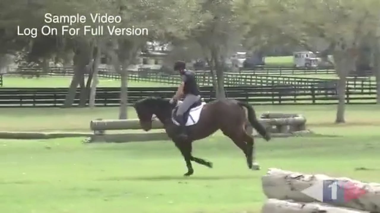 True Connection Part 2