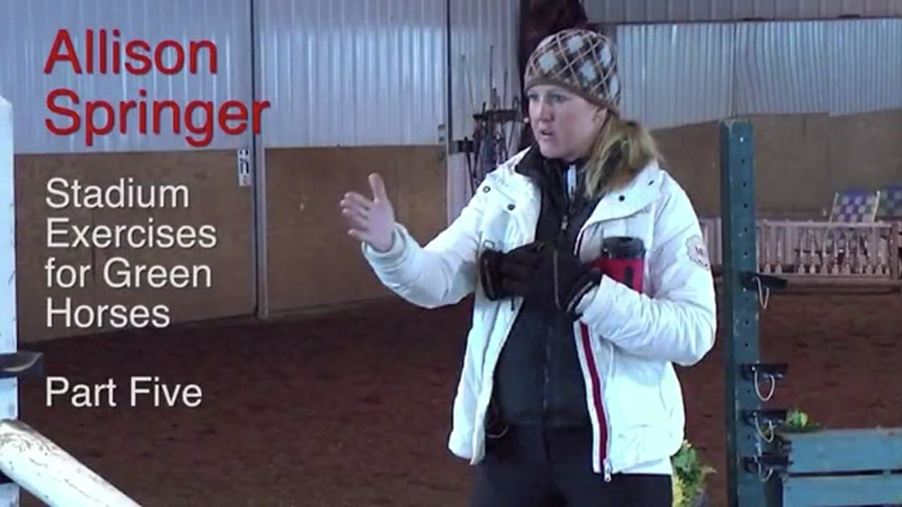 Stadium Exercises For Green Horses | Allison Springer | PART 05
