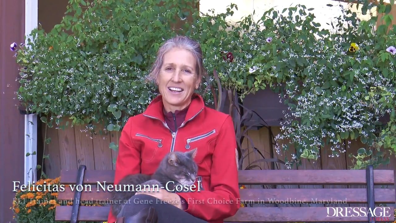 Training Scale - Connection | Felicitas von Neumann-Cosel | PART 05