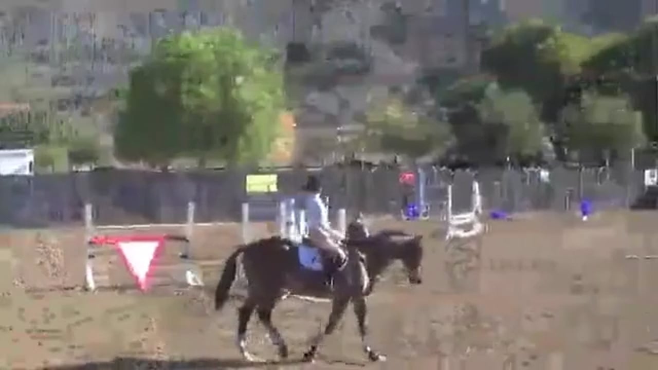 Bouncy Show Jumping Canter | Hawley Bennet | PART 01